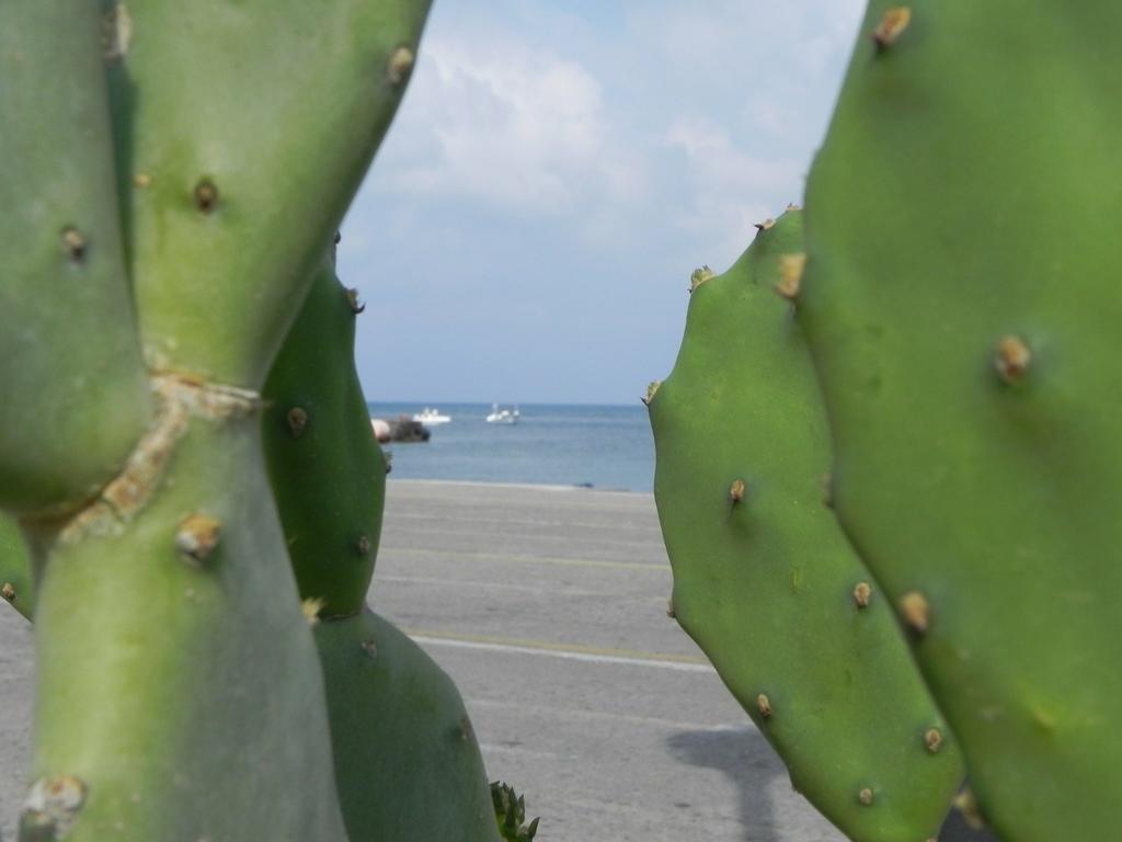 Affittacamere Bellavista Castiglione di Sicilia Kültér fotó